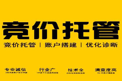 SEM专员案例：数据分析与优化